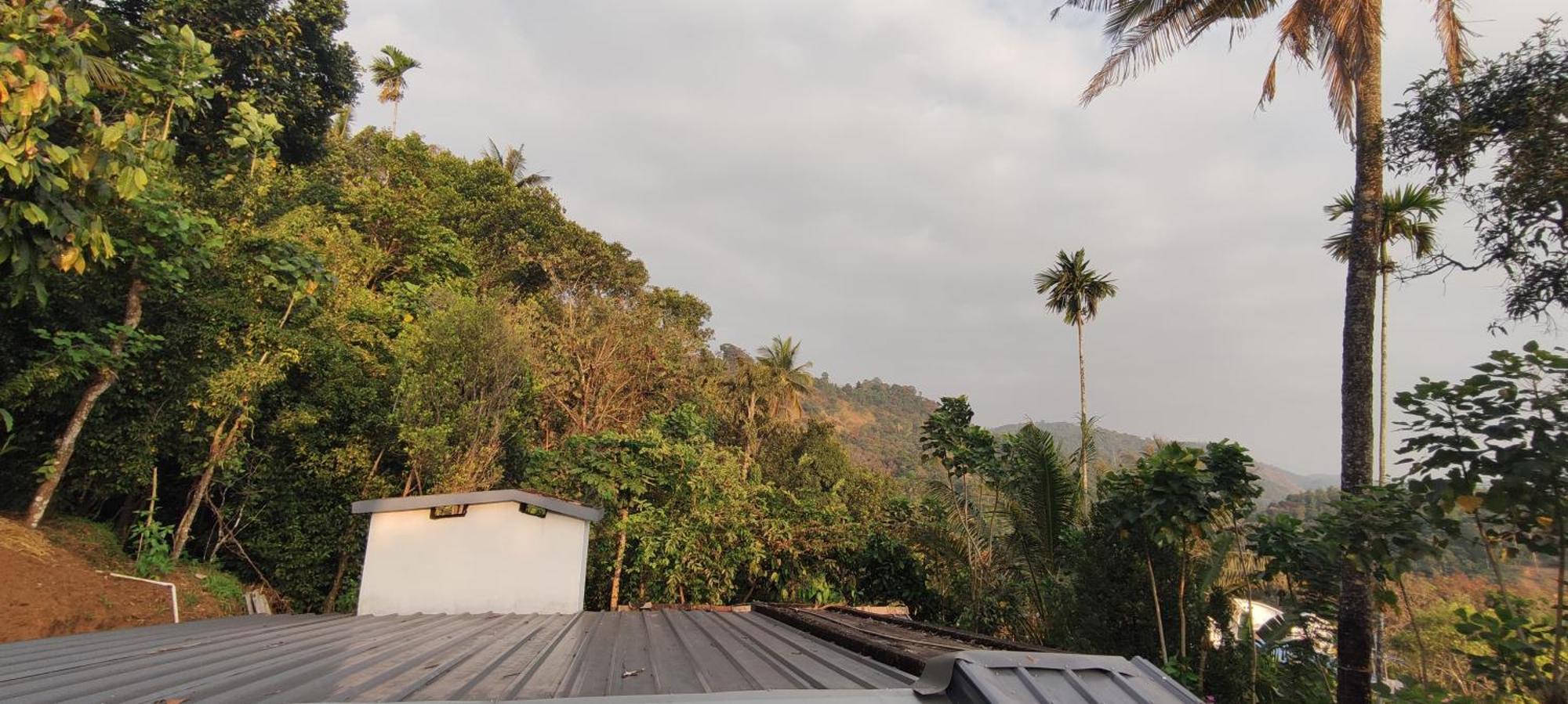 Koonamparayil Home Stay Munnar Anaviratty-Family Only المظهر الخارجي الصورة