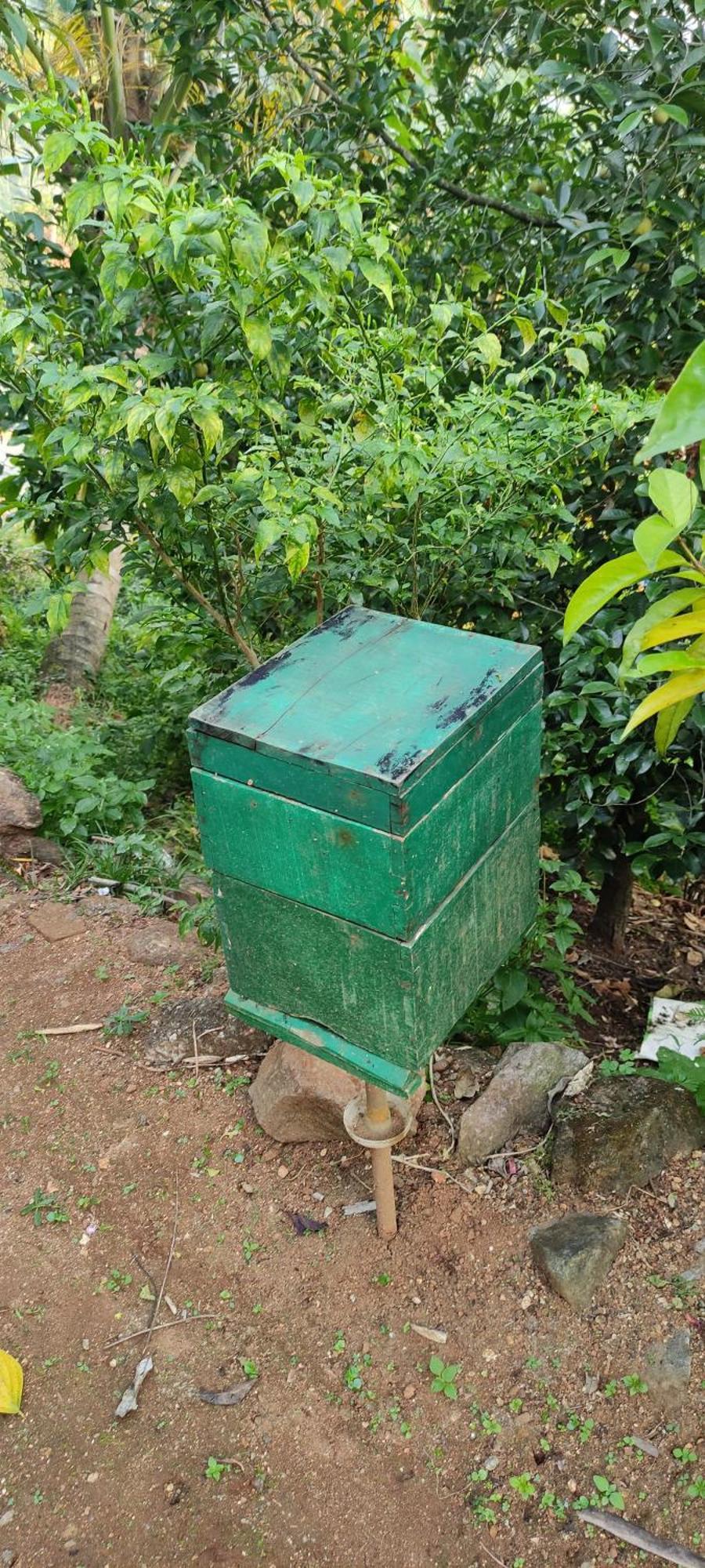 Koonamparayil Home Stay Munnar Anaviratty-Family Only المظهر الخارجي الصورة