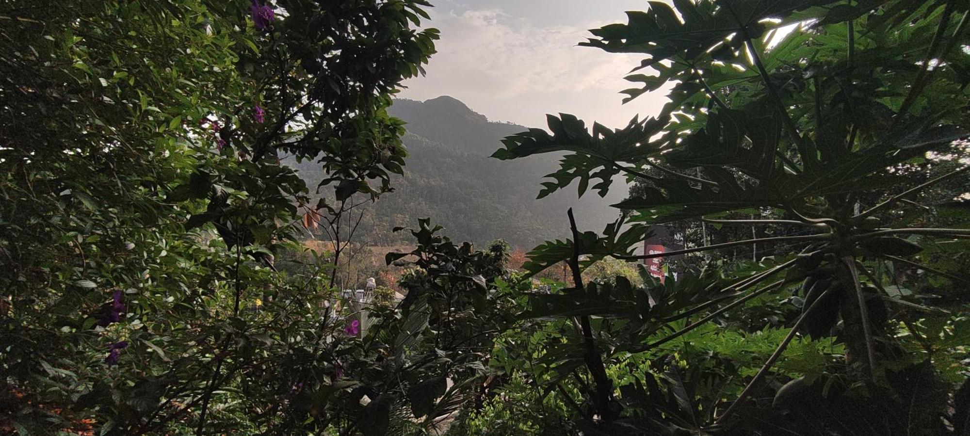 Koonamparayil Home Stay Munnar Anaviratty-Family Only المظهر الخارجي الصورة